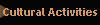 Cultural Activities