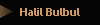 Halil Bulbul